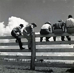 Cowboys on fence