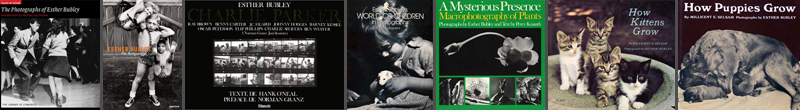top strip of images for books
